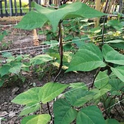 Trellis Netting, 5ft Height X 328ft Length By Hortonova -Amleos tn5328 17