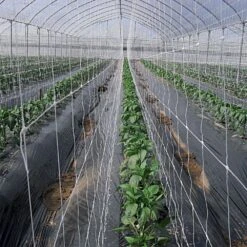 Trellis Netting, 5ft Height X 328ft Length By Hortonova -Amleos tn5328 6