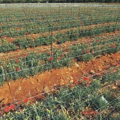 Trellis Netting, 6-1/2ft Height X 100ft Length By Hortonova -Amleos tn6100 5