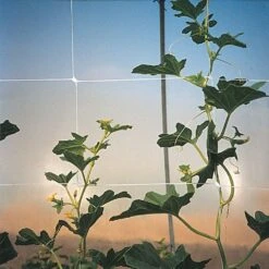 Trellis Netting, 6-1/2ft Height X 30ft Length By Hortonova -Amleos tn630 19