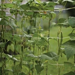 Trellis Netting, 6-1/2ft Height X 30ft Length By Hortonova -Amleos tn630 6