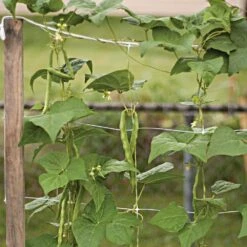 Trellis Netting, 6-1/2ft Height X 30ft Length By Hortonova -Amleos tn630 8