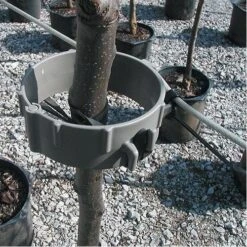 Tree Support System With EPDM Bands By Trellis Mate 7 Tree Support System With EPDM Bands By Trellis Mate -Amleos tr1 2
