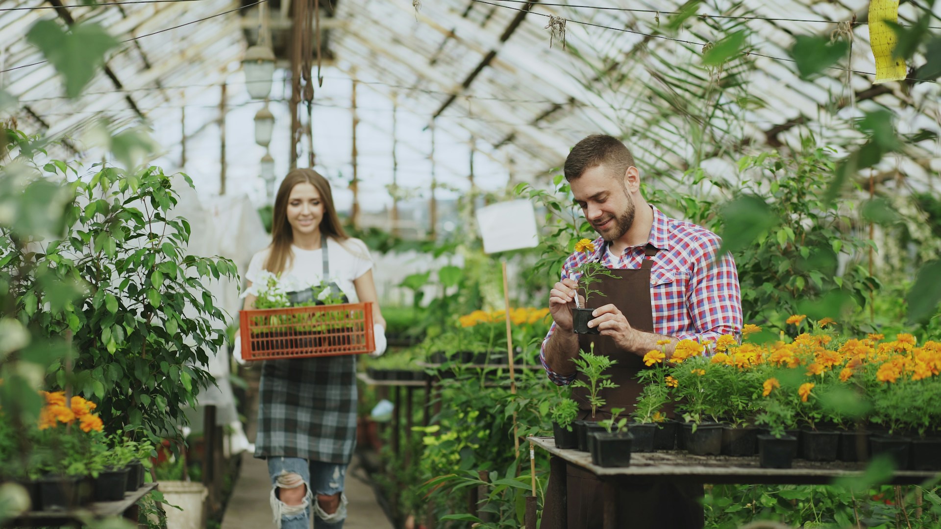 Amleos -Amleos vitaly gariev Ex9 xWVXpBs unsplash