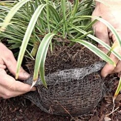 Vole King 1-Gallon Plant Baskets, Pack Of 4 9 Vole King 1-Gallon Plant Baskets, Pack Of 4 -Amleos vk1g 3