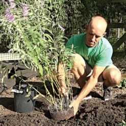 Vole King 2 To 3-Gallon Plant Baskets, Pack Of 4 -Amleos vk23g 1