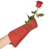 Rose Gloves, Thorn-Proof Suede, Ruby Red With Olive Palms, Unisex By West County