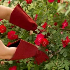 Rose Gloves, Thorn-Proof Suede, Ruby Red With Olive Palms, Unisex By West County -Amleos vp 054 2