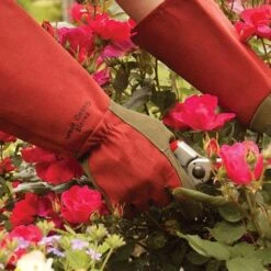 Rose Gloves, Thorn-Proof Suede, Ruby Red With Olive Palms, Unisex By West County -Amleos vp 054 6