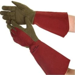 Rose Gloves, Thorn-Proof Suede, Ruby Red With Olive Palms, Unisex By West County -Amleos vp 054 8