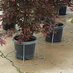 Better Bilt TopHat Plant Container Stabilizer -Amleos vp 3ps 2