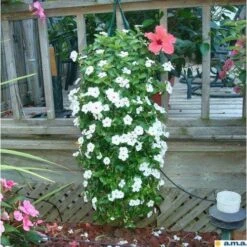 Al's Original Flower Pouch 19 Al's Original Flower Pouch -Amleos vp afpxx 7