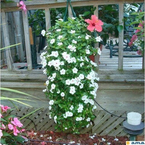 Al's Original Flower Pouch 10 Al's Original Flower Pouch - Image 8