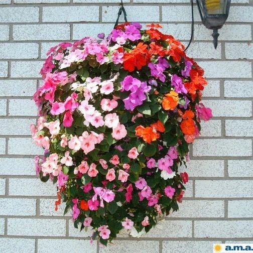 Al's Original Flower Pouch 11 Al's Original Flower Pouch - Image 9