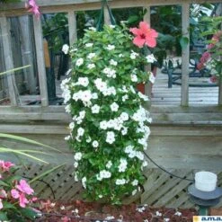 Al's Original Flower Pouch 21 Al's Original Flower Pouch -Amleos vp afpxx 9