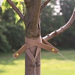 Treestrap Biodegradable Tree Straps, Packs Of 50 Straps By Greenworks -Amleos vp biostrap 1