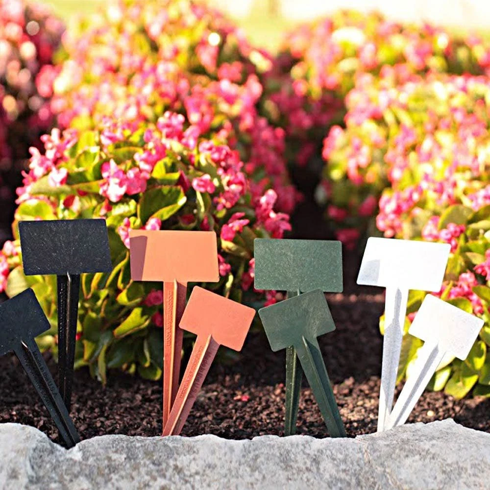 Plant Biomarker, 9-in And 13-in 3 Plant Biomarker, 9-in And 13-in