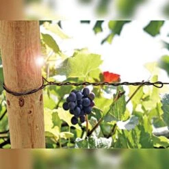 DuraLine Monofilament Trellis Line 8 DuraLine Monofilament Trellis Line -Amleos vp duraline 2