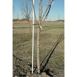 Stake Fiberglass 5/8 In X 8 Ft With Point