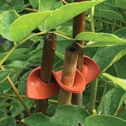 Connectors For Bamboo Stakes Pack Of 500 9 Connectors For Bamboo Stakes Pack Of 500 -Amleos vp gc500x 2