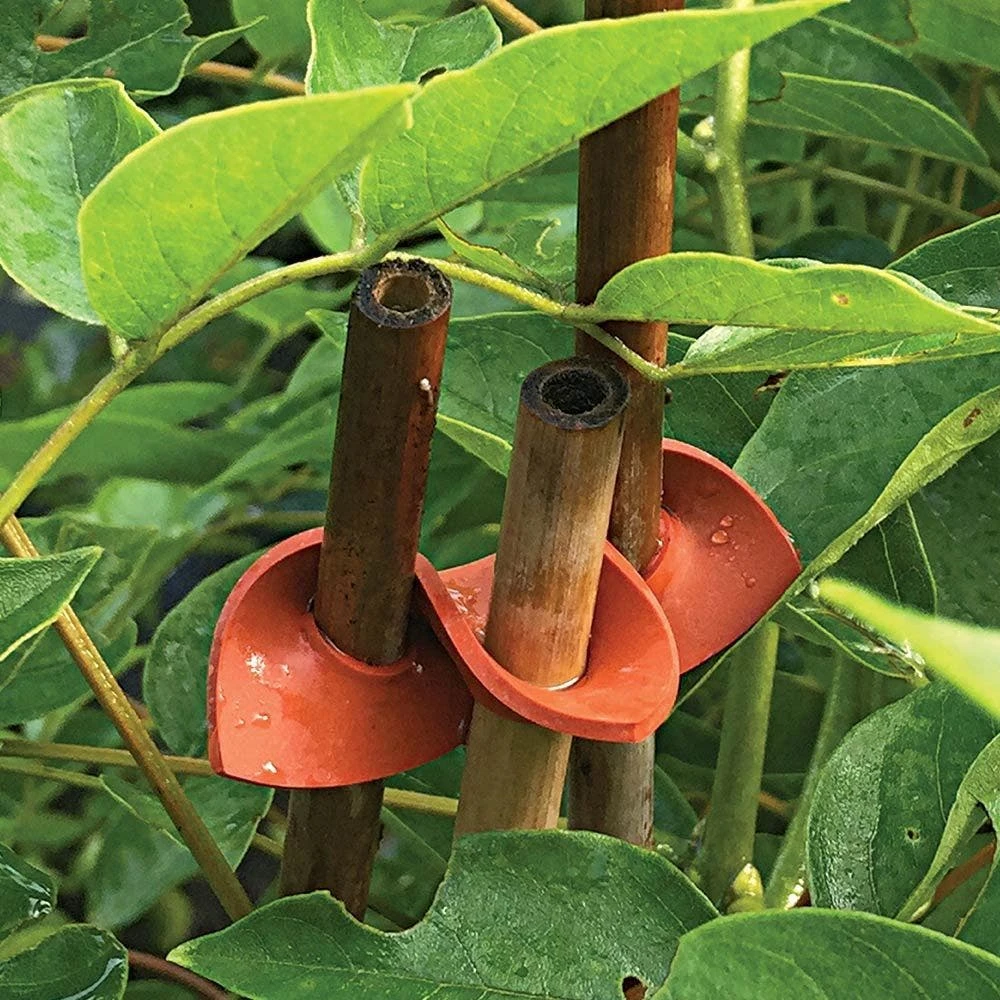 Connectors For Bamboo Stakes Pack Of 500 5 Connectors For Bamboo Stakes Pack Of 500 - Image 3