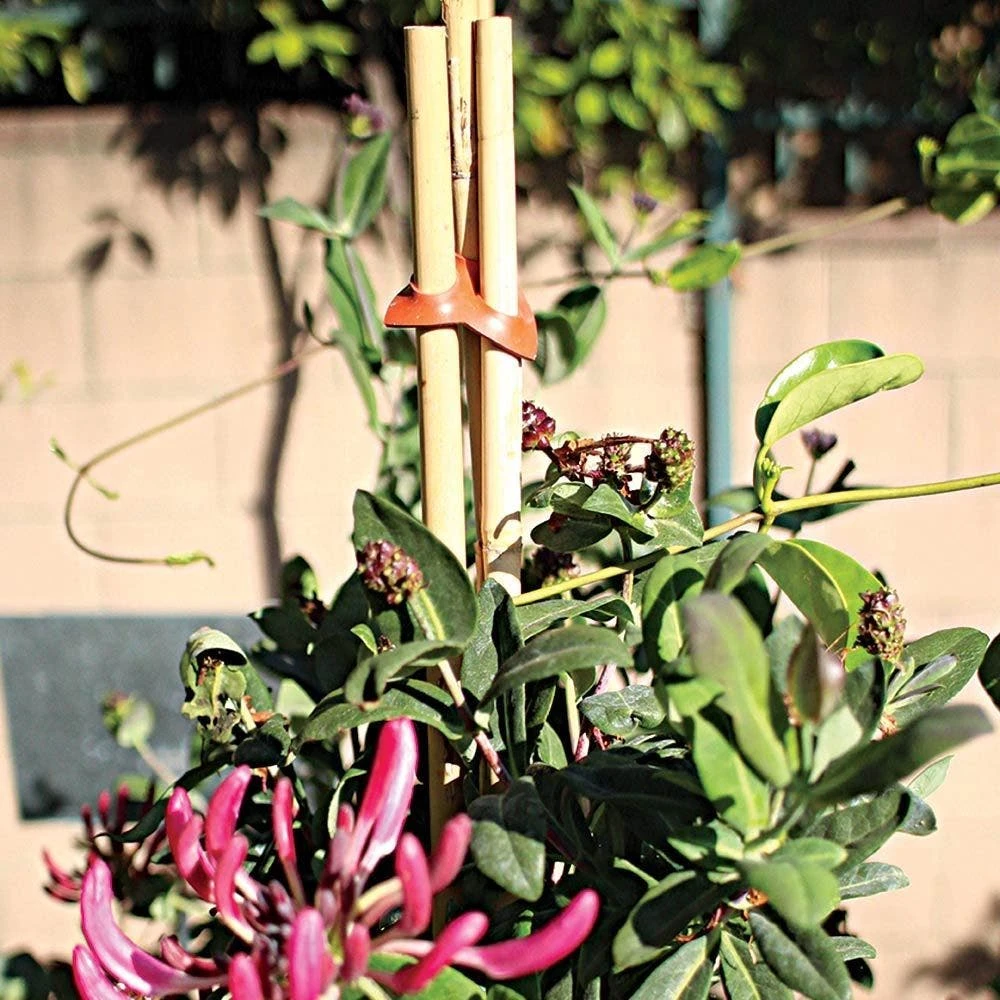 Connectors For Bamboo Stakes Pack Of 500 6 Connectors For Bamboo Stakes Pack Of 500 - Image 4