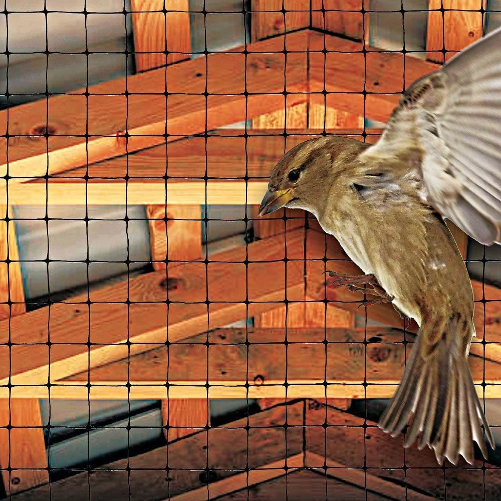 No Tangle Heavy Duty Bird Netting 6 No Tangle Heavy Duty Bird Netting - Image 4
