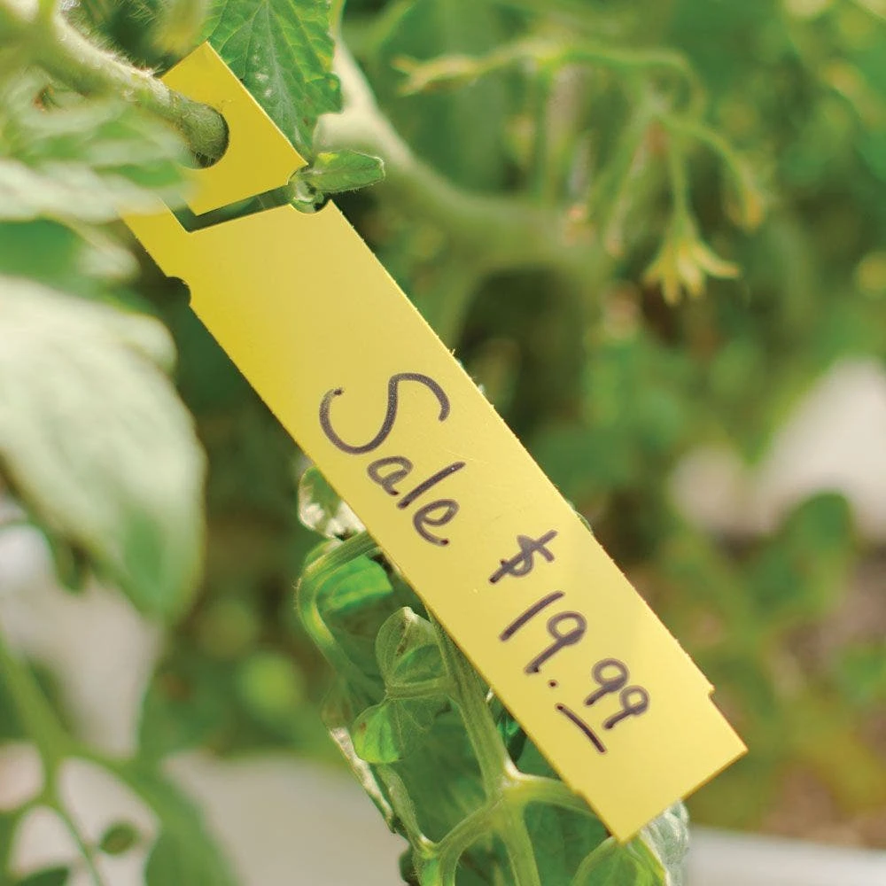 Slant And Lock Label, Roll Of 1000 7 Slant And Lock Label, Roll Of 1000 - Image 5