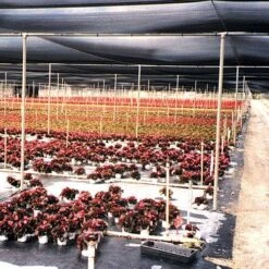 Black Knitted Polyethylene Shade Fabric -Amleos vp ks 3