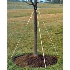 Tree Tie Webbing, Green, 3/4in Width By A.M. Leonard -Amleos vp ltg 4