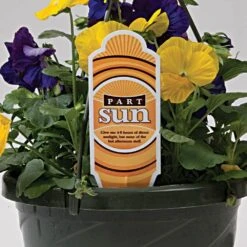 Sunlight Requirement Portrait Tags Pack Of 25 -Amleos vp mc33xx 4