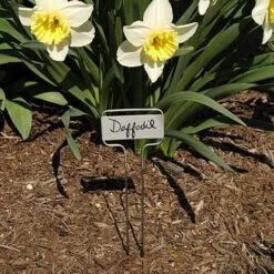 Classic Plant Marker W/ Zinc Name Plate -Amleos vp pmc 3