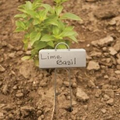 Plant Display Markers With Zinc Name Plates, Packs Of 25 Markers -Amleos vp pmd 3