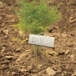 Plant Display Markers With Zinc Name Plates, Packs Of 25 Markers -Amleos vp pmd 4