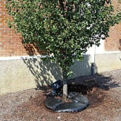 TreeDiaper Landscaper Pro Packs 9 TreeDiaper Landscaper Pro Packs -Amleos vp tdxxmp 3