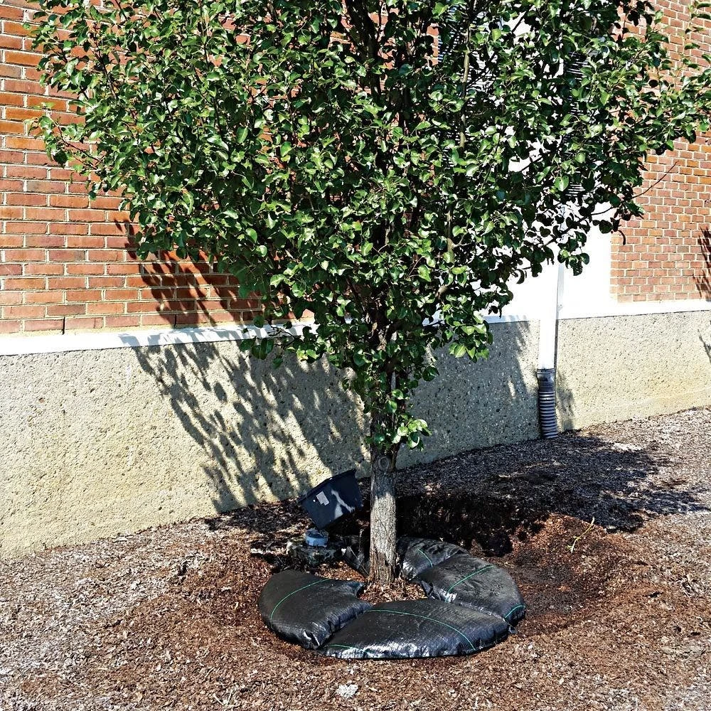 TreeDiaper Landscaper Pro Packs 6 TreeDiaper Landscaper Pro Packs - Image 4