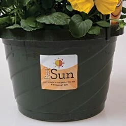 Sunlight Requirement Adhesive Labels 4 In X 2 In -Amleos vp ul20xx 5