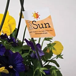 Sunlight Requirement Adhesive Labels 4 In X 2 In -Amleos vp ul20xx 6