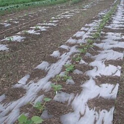 Organic Biodegradable Paper Mulch, 3ft Width X 250ft Length -Amleos wg36250f 8