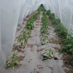 Organic Biodegradable Paper Mulch, 4ft Width X 100ft Length -Amleos wg48100f 1