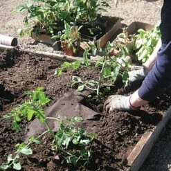 Organic Biodegradable Paper Mulch, 4ft Width X 100ft Length -Amleos wg48100f 2