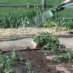 Organic Biodegradable Paper Mulch, 4ft Width X 100ft Length -Amleos wg48100f 5