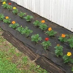 Organic Biodegradable Paper Mulch, 4ft Width X 100ft Length -Amleos wg48100f 6