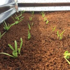 Wonder Soil Expand & Plant Organic Planting Mix, 2.5 Cu. Ft. 8 Wonder Soil Expand & Plant Organic Planting Mix, 2.5 Cu. Ft. -Amleos wsepoc25 2