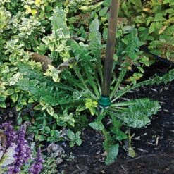 Weed Wand Magic Applicator With 3 Replacement Tips -Amleos wwata 3