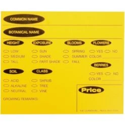 7in X 5in Plastic Preprinted Yellow Cards